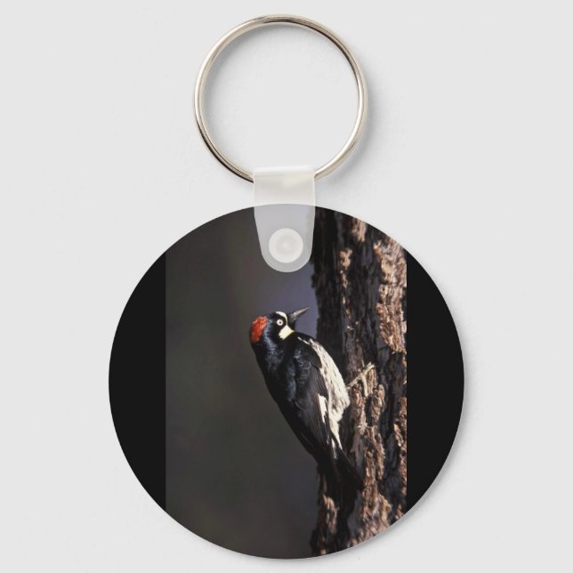 Porte-clés Acorn Woodpecker (Recto)