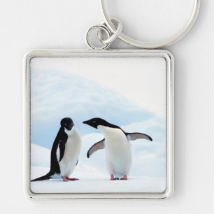 Porte-clés Adelie Penguins