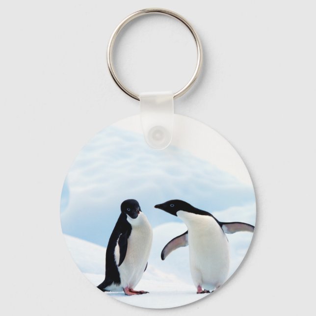 Porte-clés Adelie Penguins (Recto)