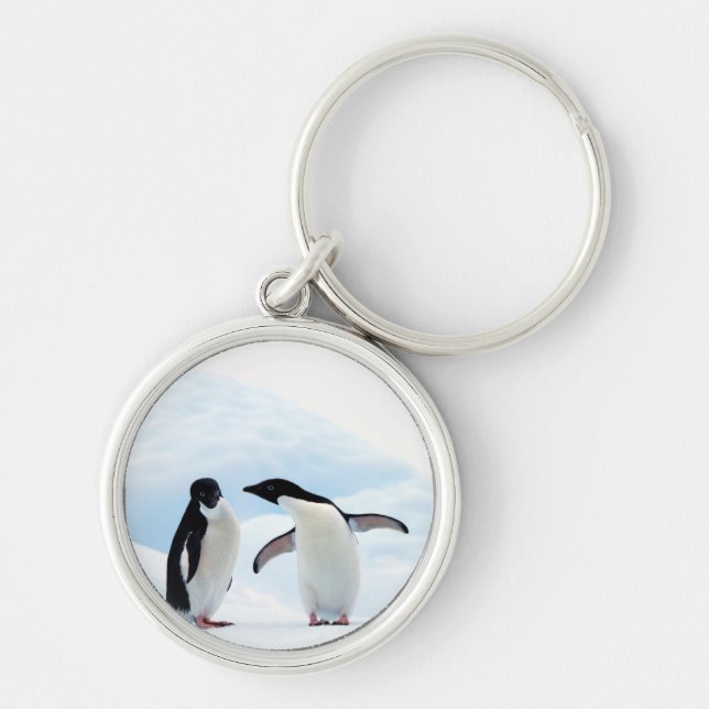 Porte-clés Adelie Penguins (Devant)