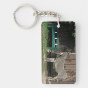 Porte-clés Adorable Âne À Côté Du Banc Vert Bois