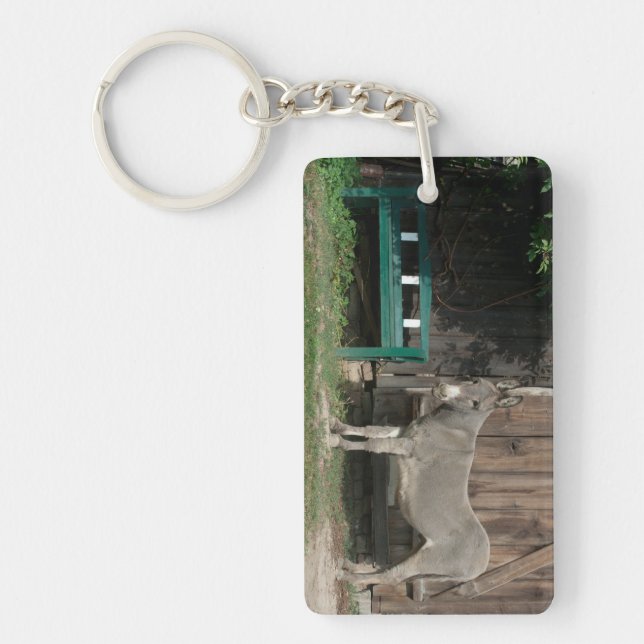 Porte-clés Adorable Âne À Côté Du Banc Vert Bois (Devant)