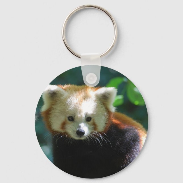 Porte-clés Adorable Red Panda  Keychain (Recto)