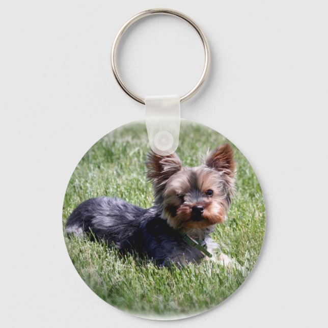 Porte-clés Adorable Yorkie (Recto)