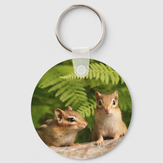 Porte-clés Adorablement Curieux Chipmunks de bébé (Recto)