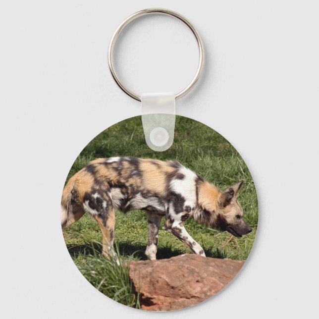 Porte-clés african-wild-dog-010 (Recto)