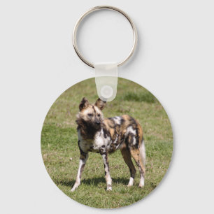 Porte-clés african-wild-dog-015