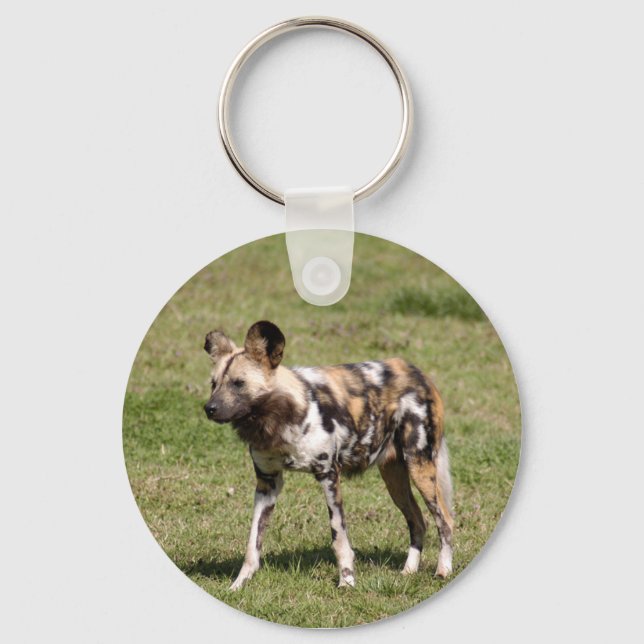 Porte-clés african-wild-dog-016 (Recto)