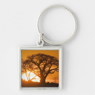 Porte-clés Afrique, Botswana, Coucher de soleil silhouette Ba
