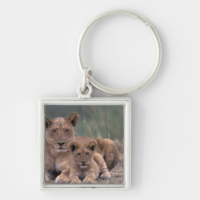 Porte-clés Afrique, Botswana, Delta de l'Okavango. Lions (Devant)