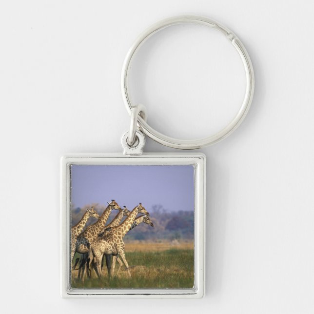 Porte-clés Afrique, Botswana, Réserve de gibier de Moremi (Devant)