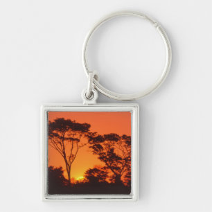 Porte-clés Afrique du Sud. Coucher de soleil africain.