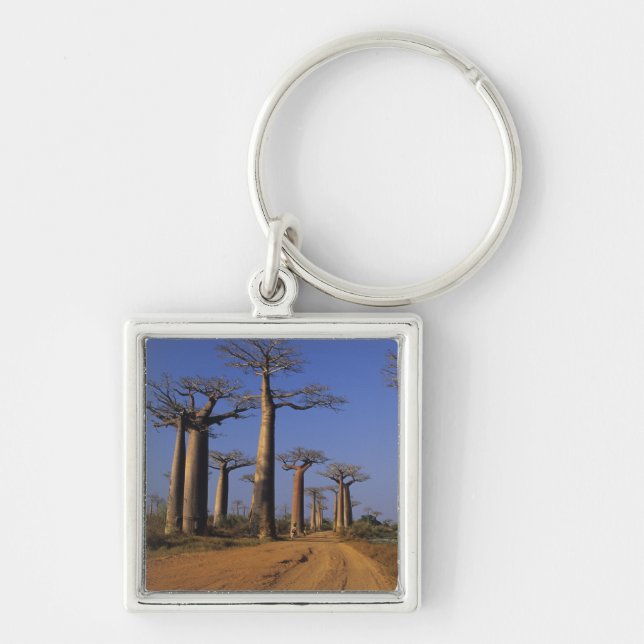 Porte-clés Afrique, Madagascar, Morondava, Avenue des Baobabs (Devant)