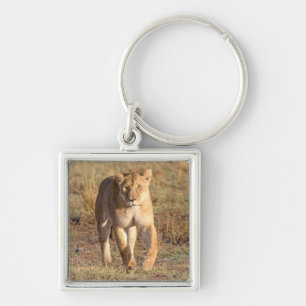 Porte-clés Afrique, Tanzanie, Serengeti. Lion et lionne