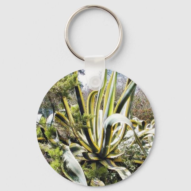 Porte-clés Agave Cactuses (Recto)