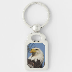 Porte-clés Aigle à chaudes matures