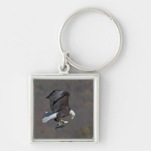 Porte-clés Aigle chauve regardant un poisson