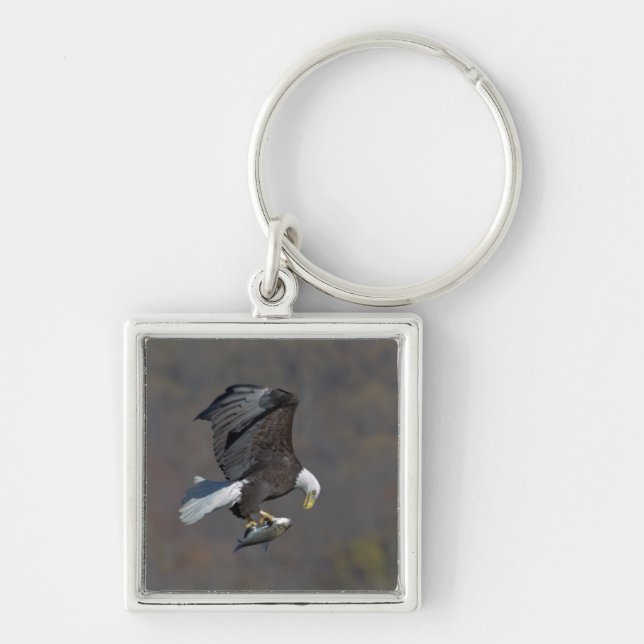 Porte-clés Aigle chauve regardant un poisson (Devant)
