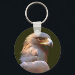 Porte-clés Aigle d'or<br><div class="desc">Portrait d'aigle doré réalisé en acrylique dans un style libre et lâche par Kathie Miller,  artiste animalière primée</div>