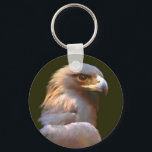 Porte-clés Aigle d'or<br><div class="desc">Portrait d'aigle doré réalisé en acrylique dans un style libre et lâche par Kathie Miller,  artiste animalière primée</div>