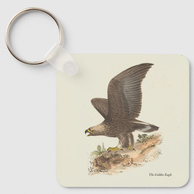 Porte-clés Aigle d'or (Aquila chrysaetos) NY Bird Image (Recto)