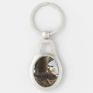 Porte-clés Aigle nicheur