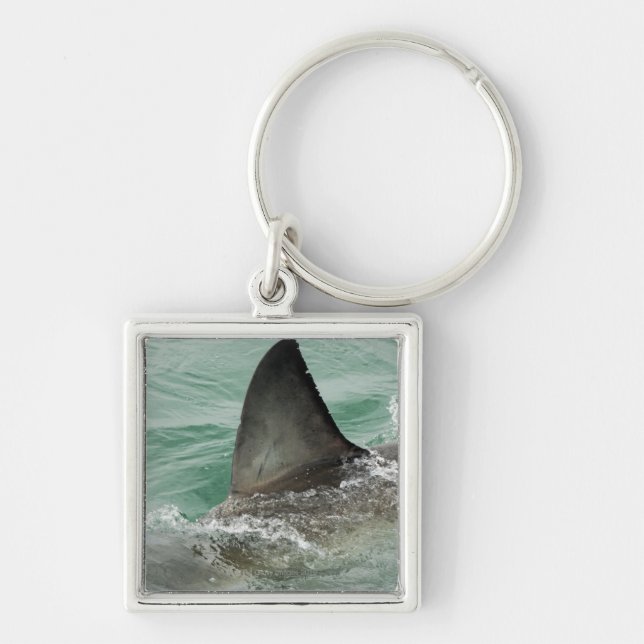 Porte-clés Aileron dorsal d'un grand requin blanc (Devant)