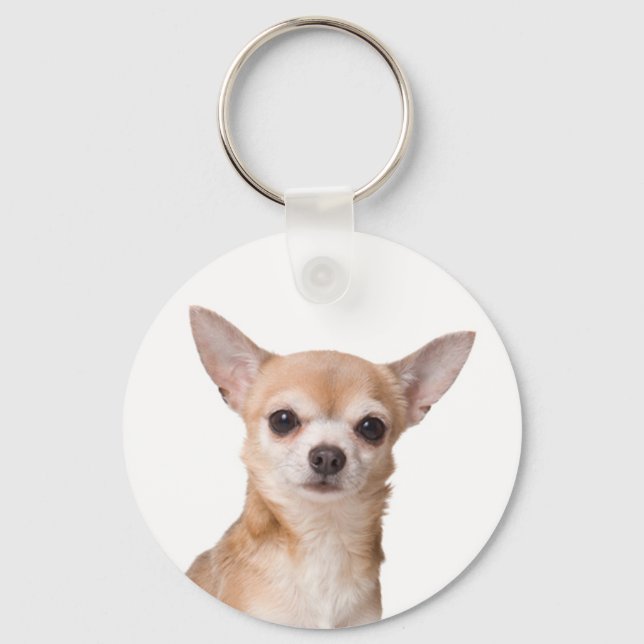 Porte-clés Aimer Chihuahua Chien chiot (Recto)