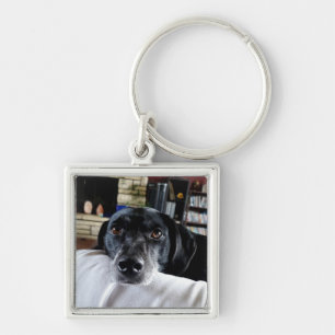 Porte-clés Ajoutez votre photo de chien à cela