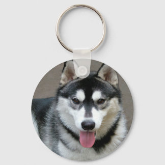 Porte-clés Alaskan Malamute Chien photo