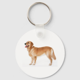 Porte-clés Alerte Porte - clé Golden Retriever