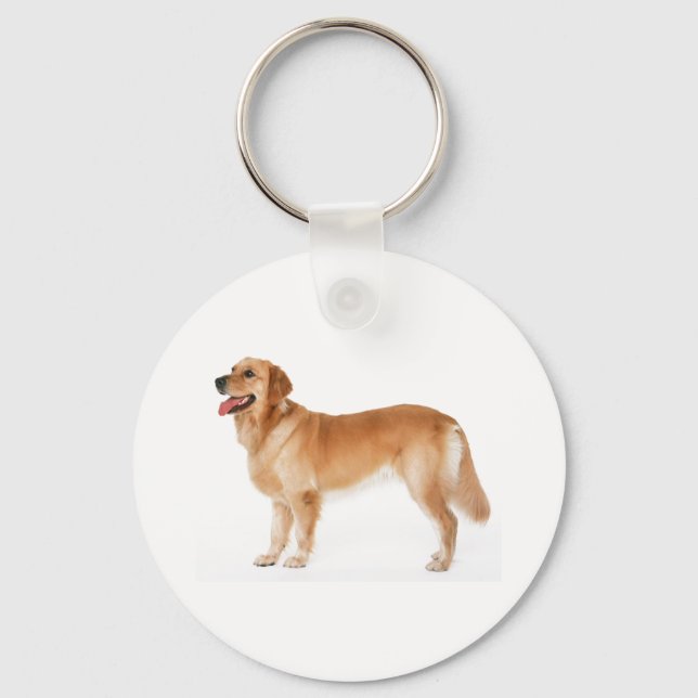 Porte-clés Alerte Porte - clé Golden Retriever (Recto)
