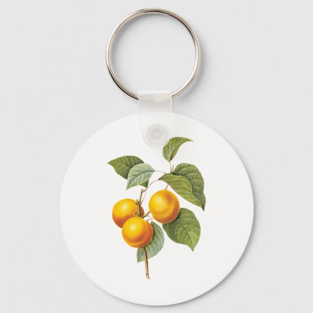 Porte-clés Aliments anciens Fruits, Abricot Pêche par Redoute (Recto)