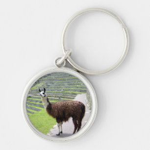 Porte-clés allure de lama