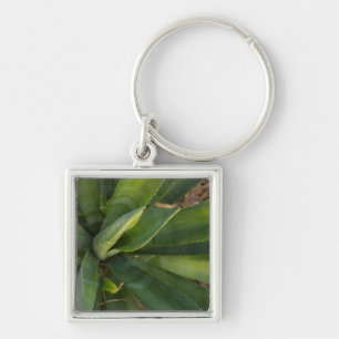 Porte-clés Aloe Vera
