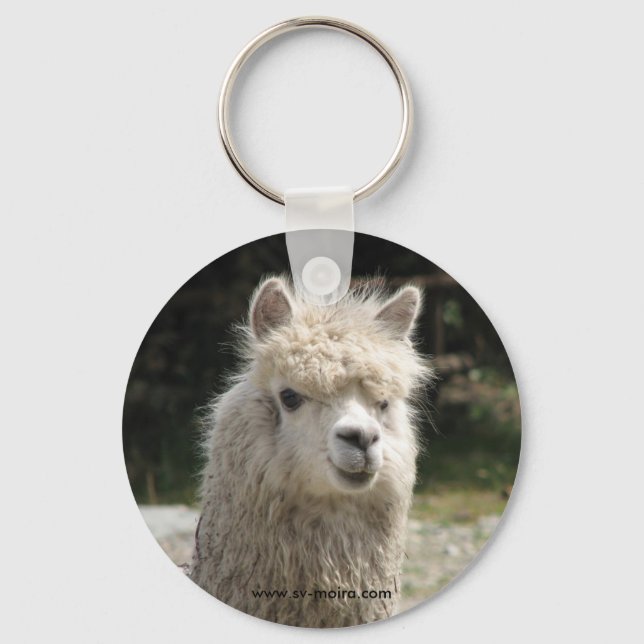 Porte-clés Alpaca, Parque Llaviucu, Equateur (Recto)