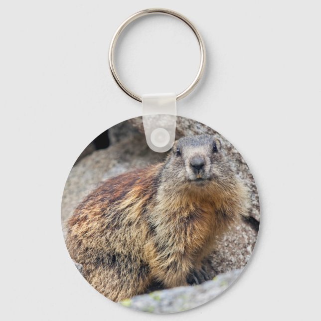Porte-clés Alpine Marmot Keyring (Recto)