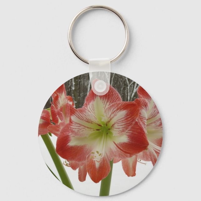 Porte-clés Amaryllis en Fête Rouge Neige Hiver Floral (Recto)