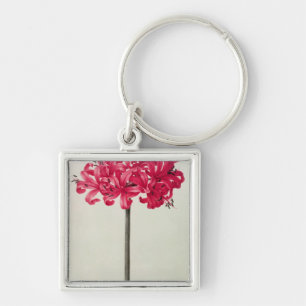 Porte-clés Amaryllis Sarniensis, ou narcisse