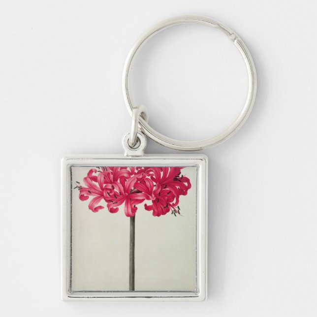 Porte-clés Amaryllis Sarniensis, ou narcisse (Devant)