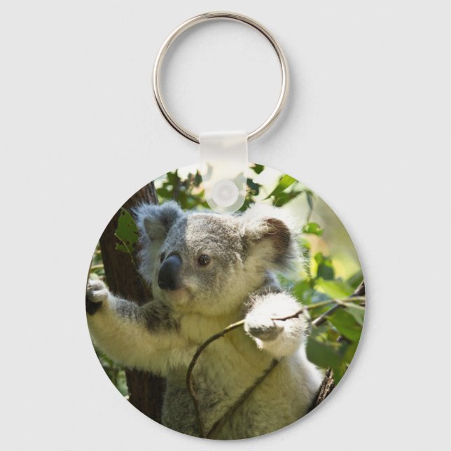 Porte-clés Amazingly cute baby koala in a tree (Recto)