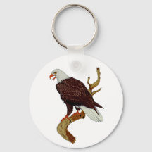 American Bald Eagle Symbol of Pride & Strength