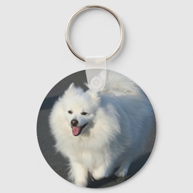 Porte-clés American Eskimo keychain (Recto)