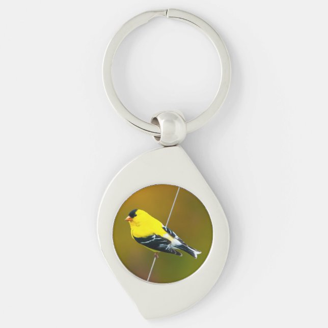 Porte-clés American Goldfinch - Photo originale (Devant)