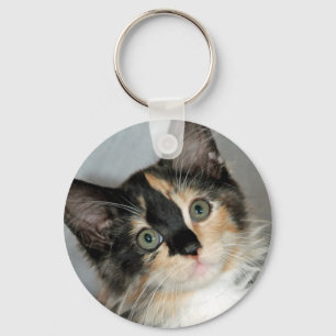 Porte-clés American Longhair Calico Shelter Kitten Porte - cl