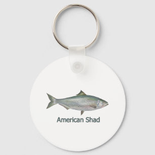 Porte-clés American Shad (titre)