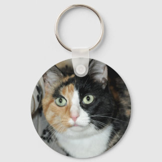 Porte-clés American Shorthair Calico Shelter Chat Porte - clé