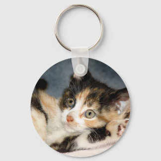Porte-clés American Shorthair Calico Shelter Kitten Porte - c