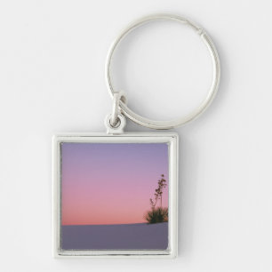 Porte-clés Amérique du Nord, Amérique, Nouveau-Mexique, Blanc