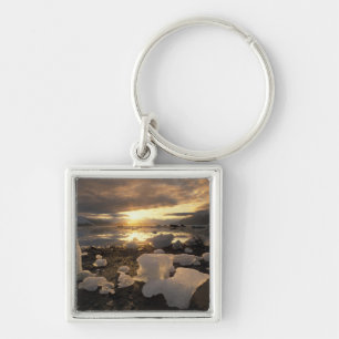 Porte-clés Amérique du Nord, États-Unis, Alaska, Ice Bay, pay
